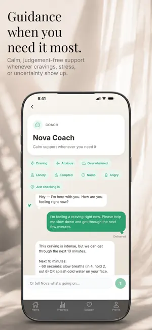 Nova: Sobriety Companion screenshot 3