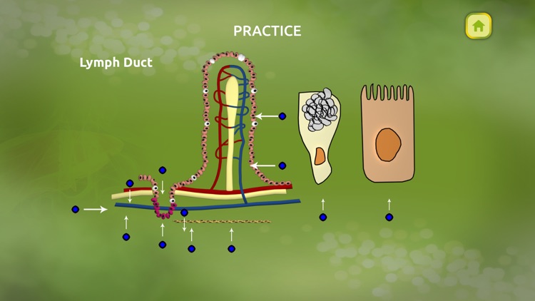 Animal Nutrition Biology screenshot-3