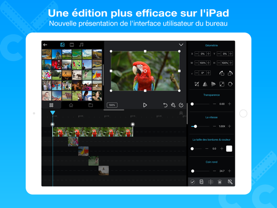 Screenshot #4 pour Cute CUT Pro