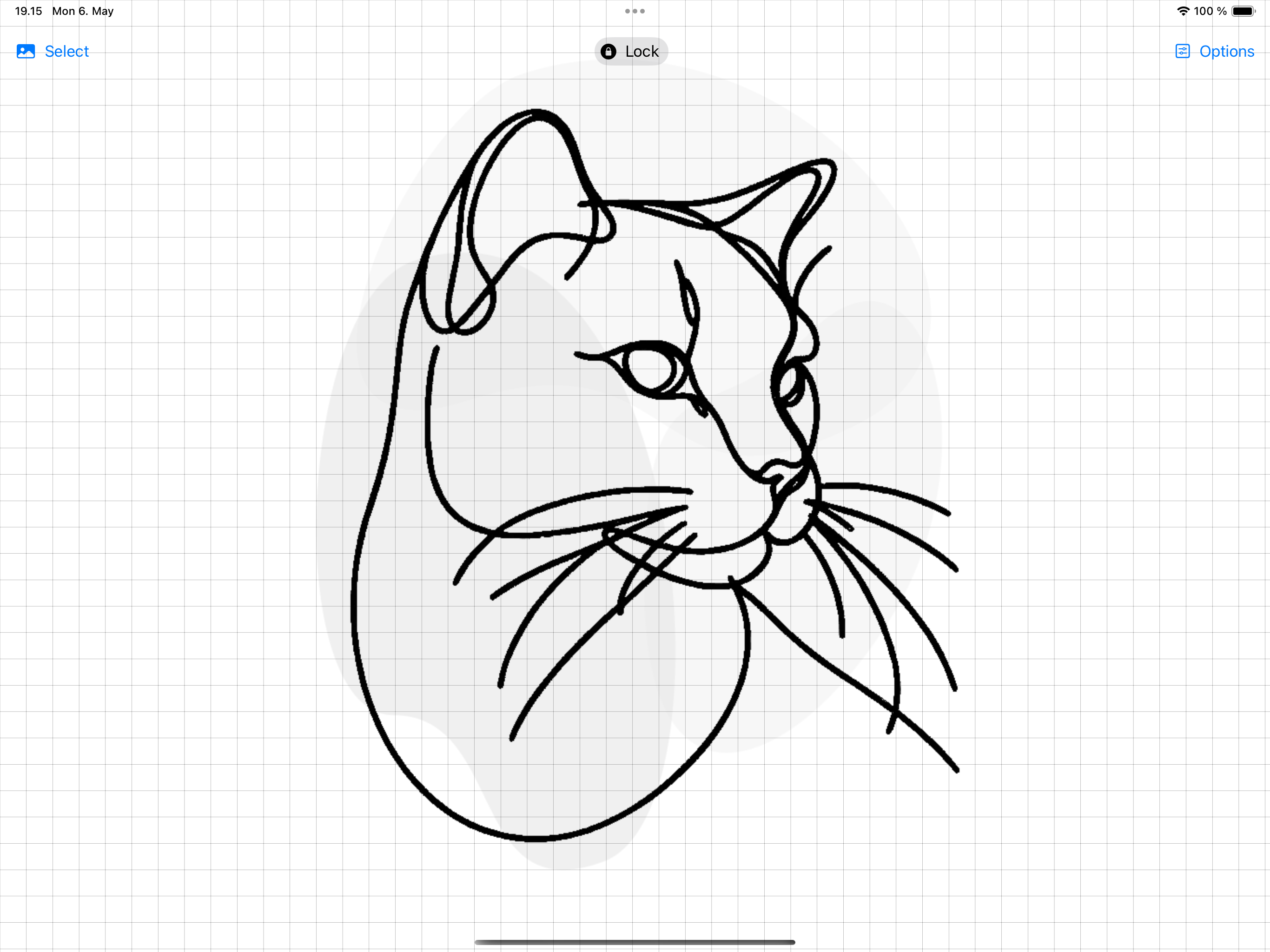 Light Tracing Pad
