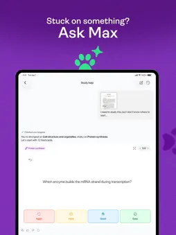 Studyflash: AI Study App screenshot 13