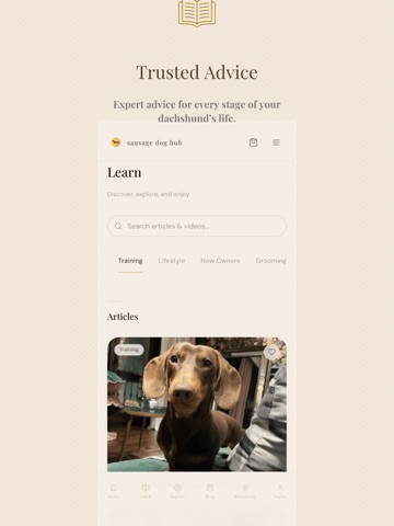 Sausage Dog Hub iPad screenshot