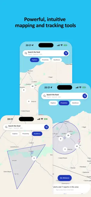 INSO screenshot 3