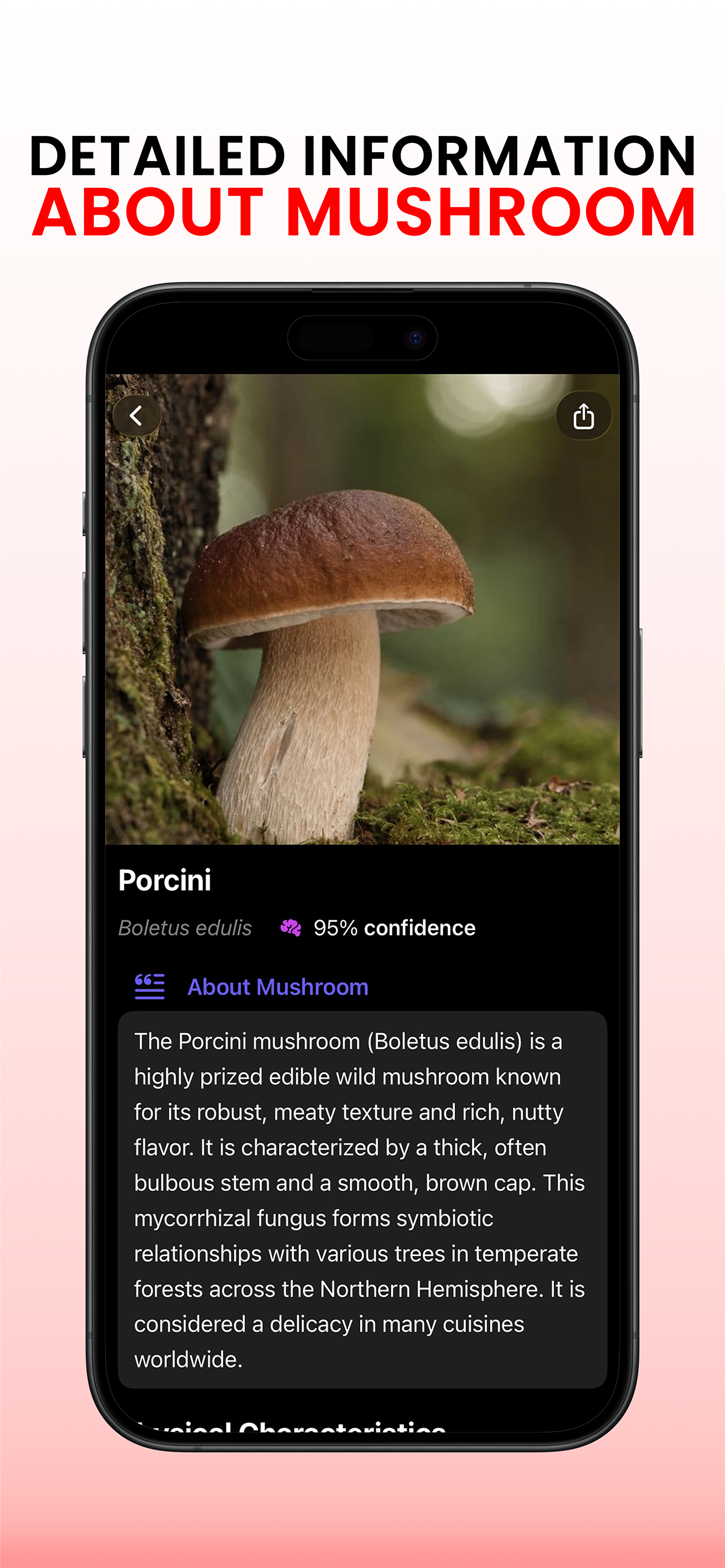 Picture Mushroom Identifier