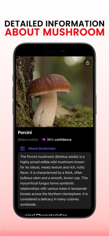Picture Mushroom Identifier screenshot