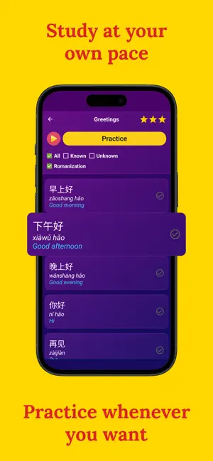 Learn Chinese (Beginners) screenshot 3