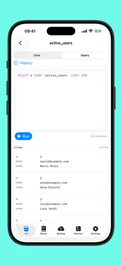 Capture d'écran de Forge Database Manager sur iPhone 4