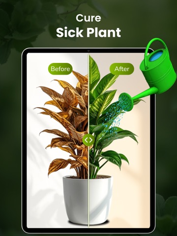Plant Identifier - Leafio iPad screenshot