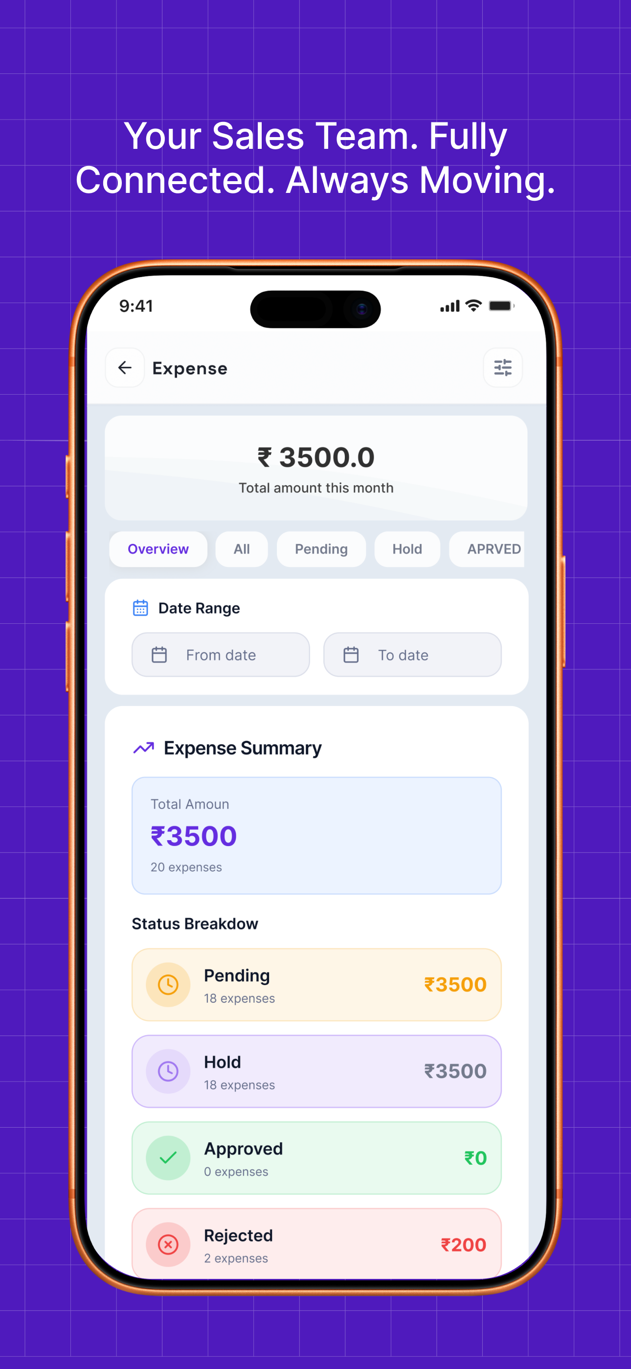 Salesnora screenshot 2
