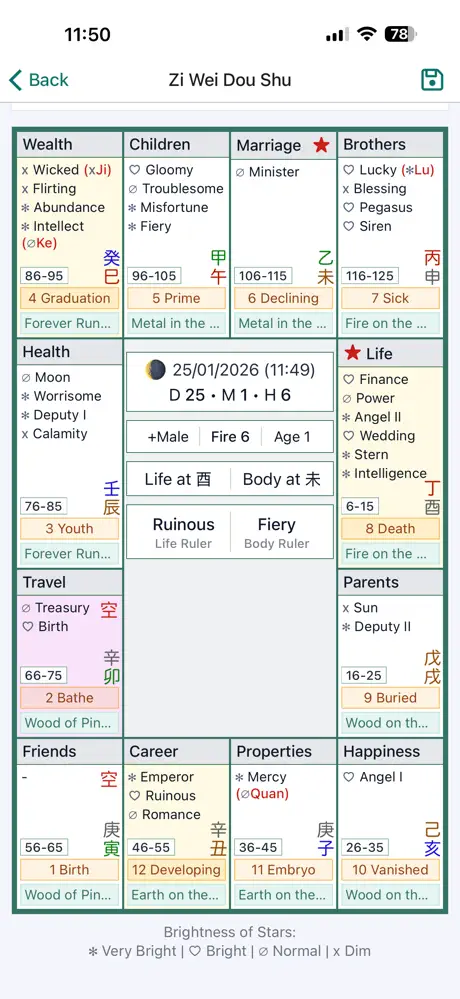 Zi Wei Dou Shu Astrology screenshot 5