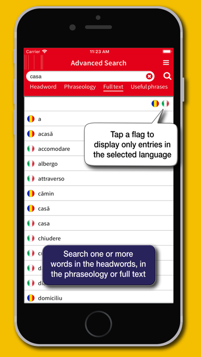 Romanian Dictionary Hoepli Screenshot