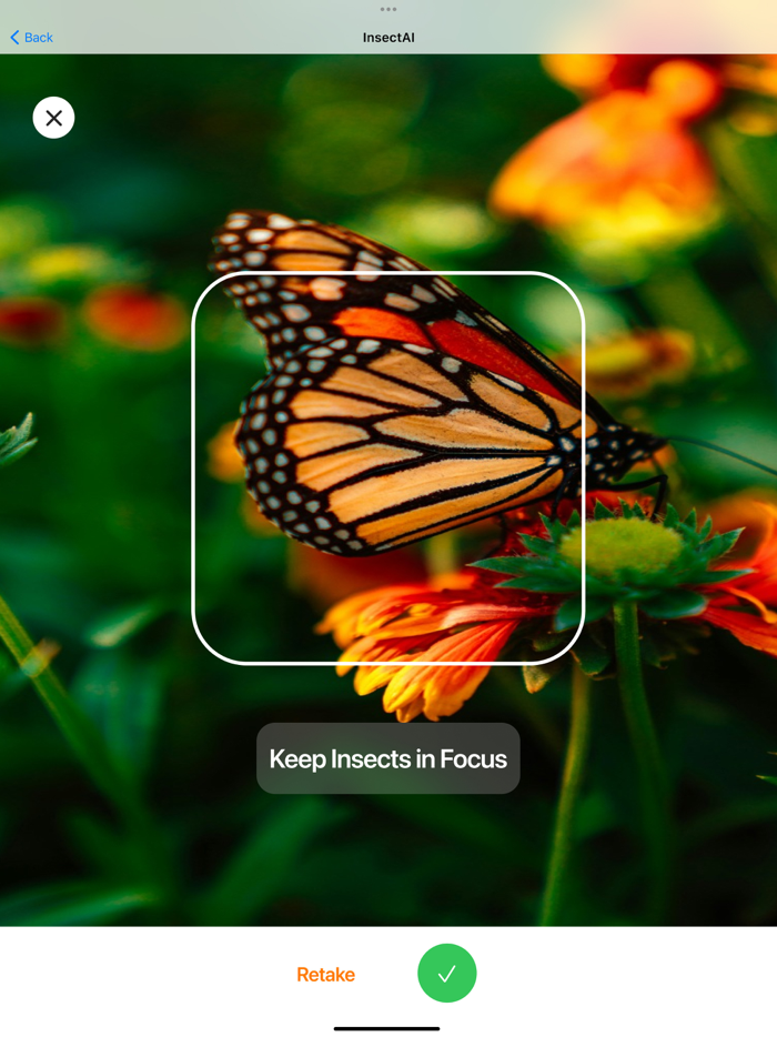 Insect - Bug Identifier