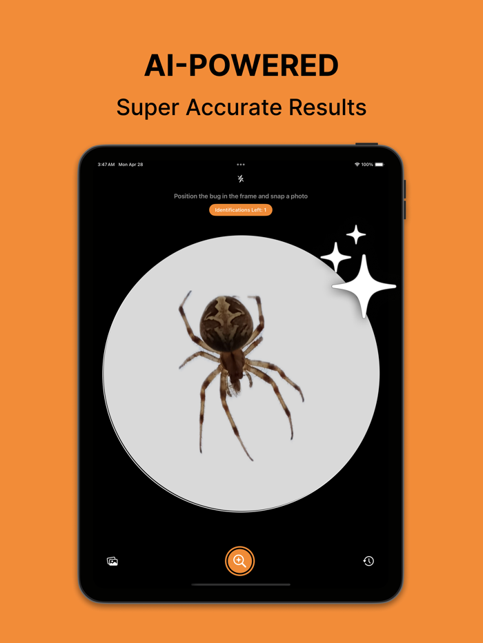 Bug Identifier - BugClip AI