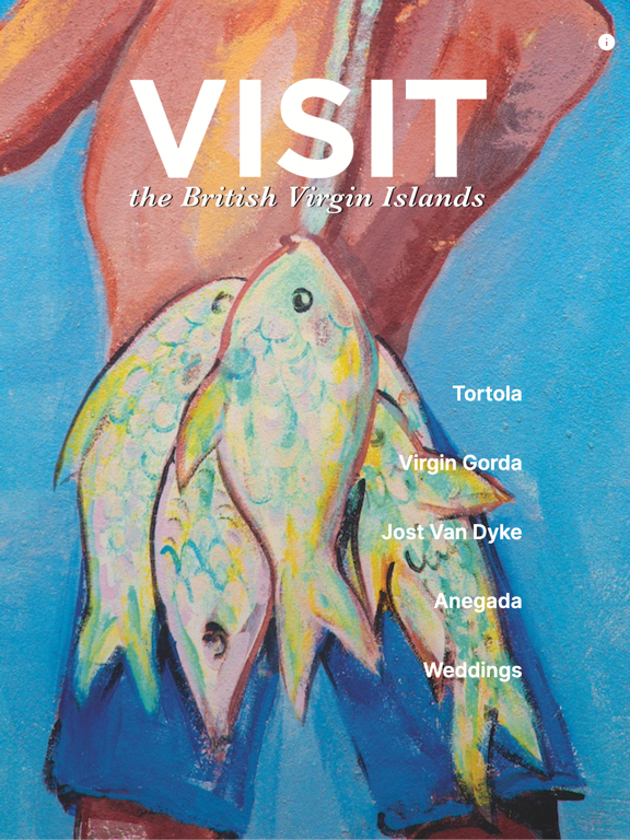 Screenshot #4 pour Visit BVI