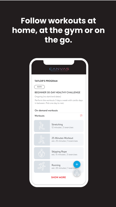 CANVAS PT Screenshot