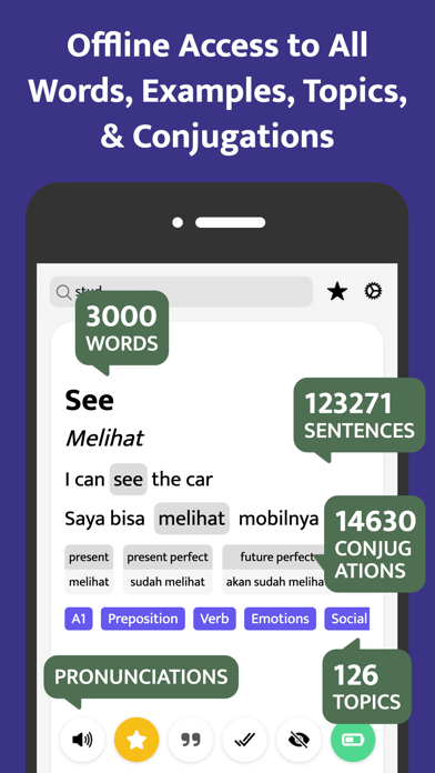 Most Common Indonesian Words iPhone screenshot