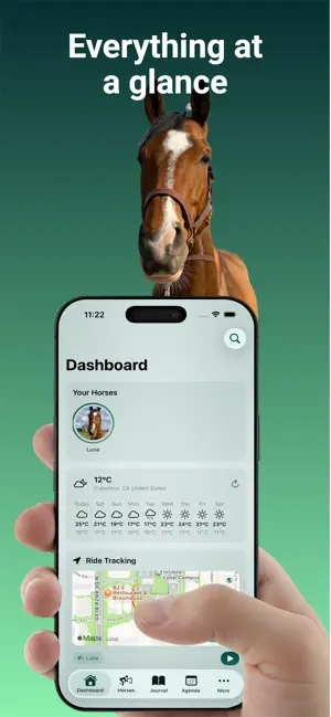 Equory: Horse Riding & Stable screenshot 1