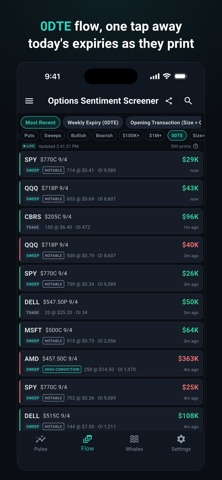 Options Sentiment Screener Screenshot 7 of 7