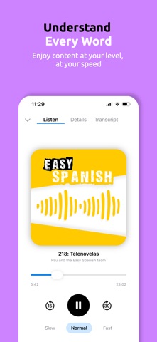 Lingsy screenshot