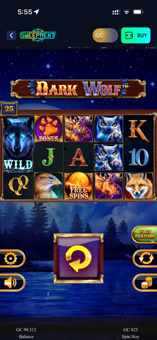 SweepNext Screenshot 4 of 5