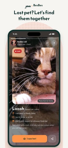 BesBes: Cats & Dogs screenshot 4