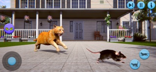 Cute Kitten Pet Cat Simulator Screenshot 2 of 6