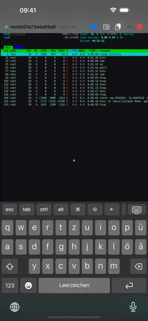 minimalVNC screenshot 3