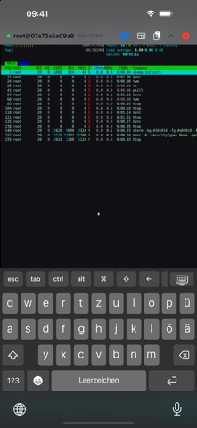 minimalVNC Screenshot 3 of 4