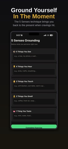 Porchlight Recovery screenshot