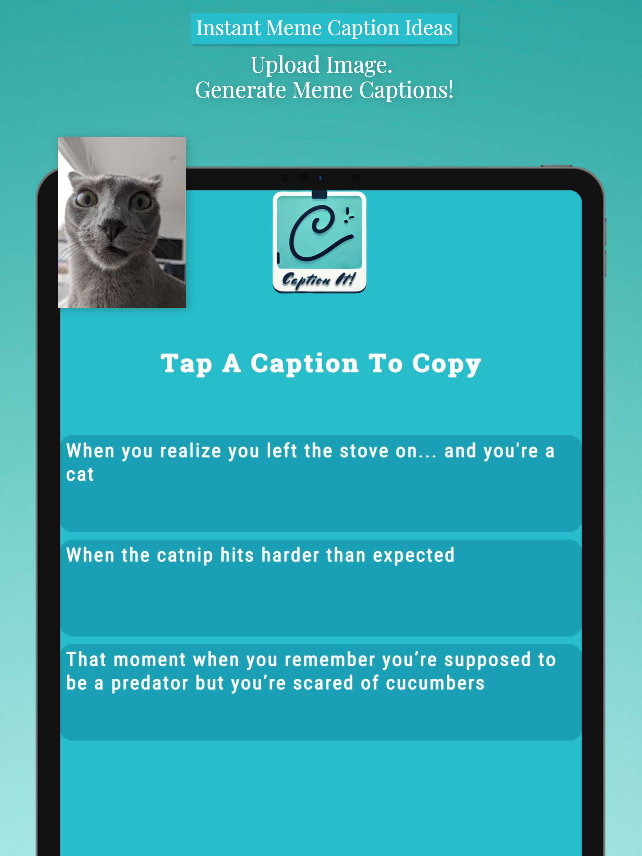Caption It! Caption Ideas