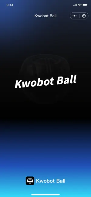 Kwobot-ball screenshot 1