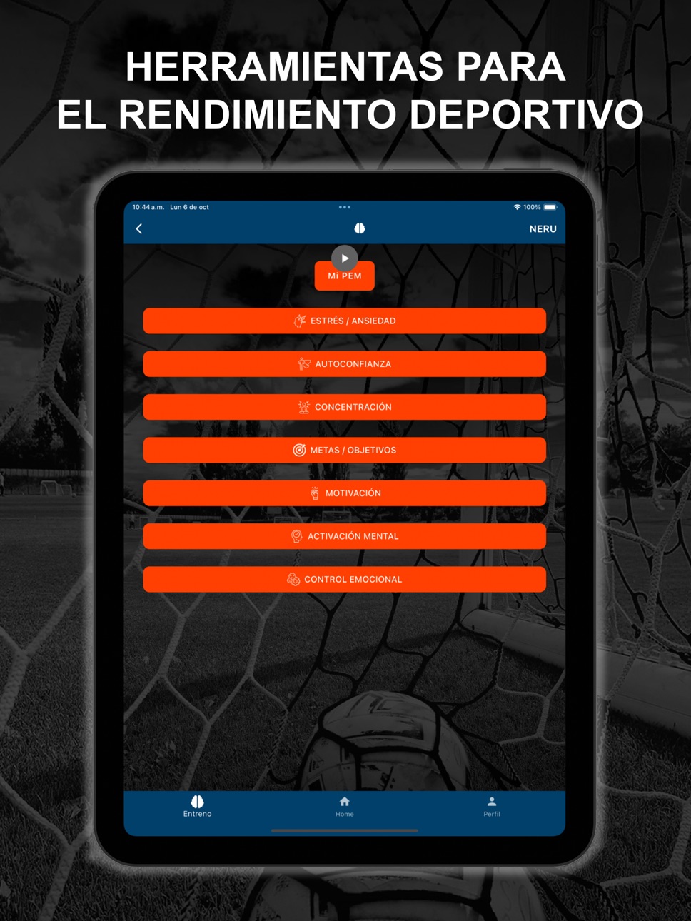 iPad screenshot