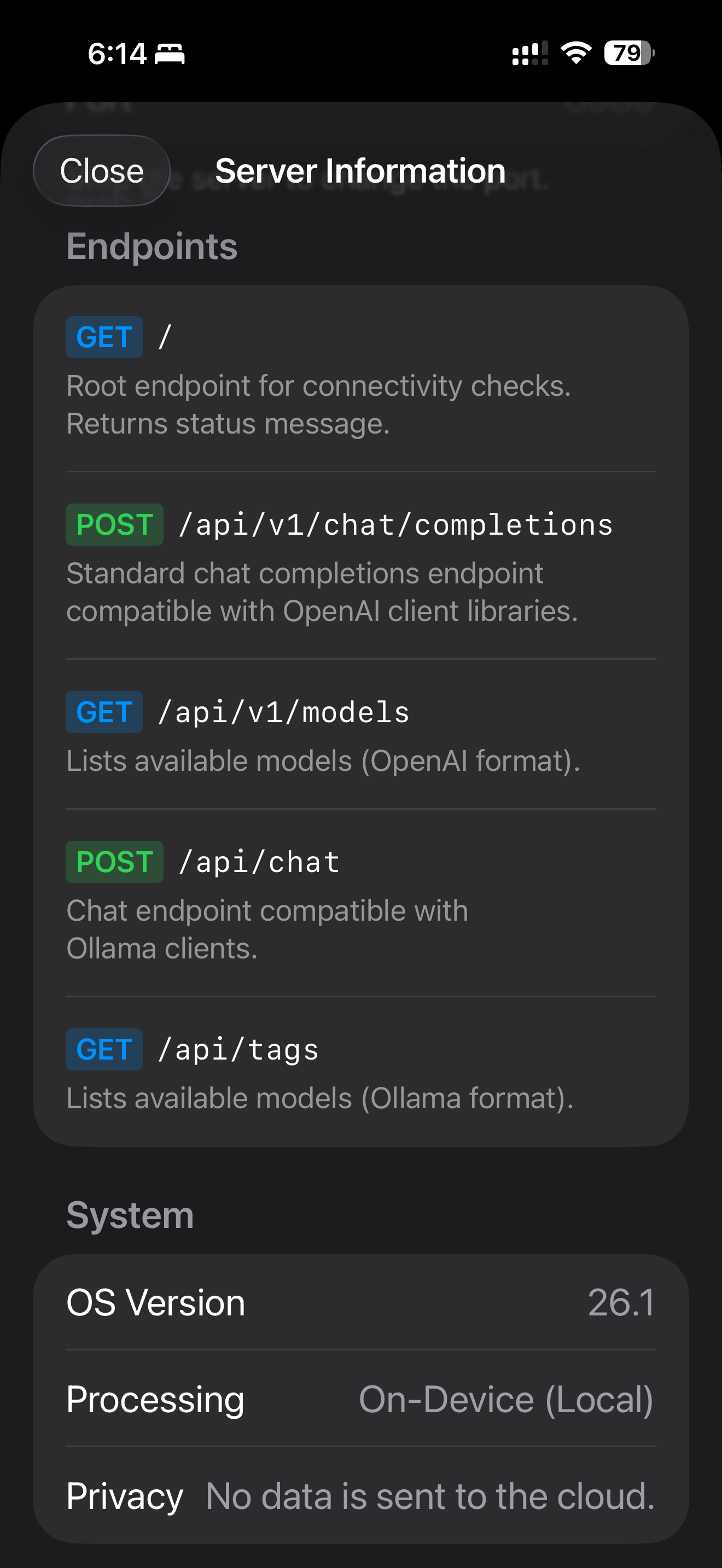 Local LLM Server screenshot 3