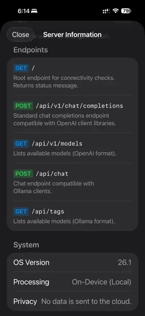 Local LLM Server iPhone screenshot 3