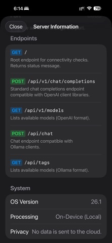 Local LLM Server Screenshot 3 of 4