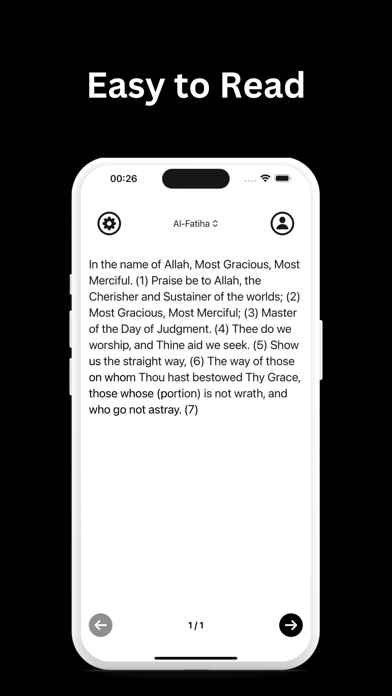 The Quran Screenshot 2 of 4