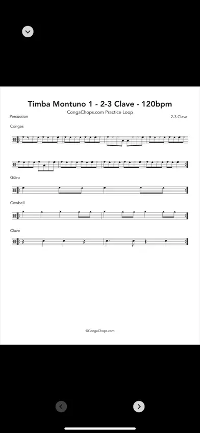 Conga Chops - Vol 3 screenshot 5