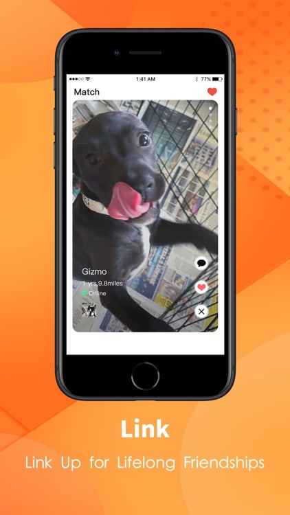 PupTown - Adoption & Breeding