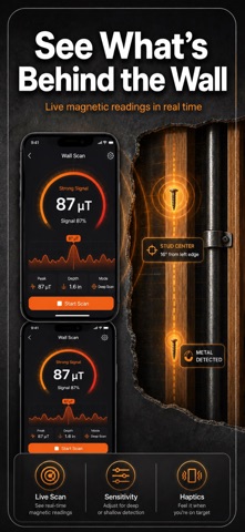 Wall Detector Stud Finder Screenshot 3 of 4