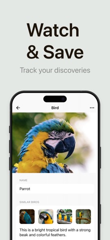 Ornitho - Bird Identifier iPhone screenshot