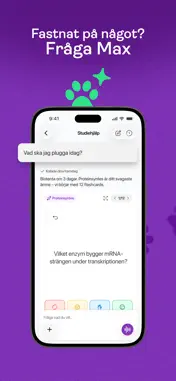 Studyflash: AI Study App screenshot 4