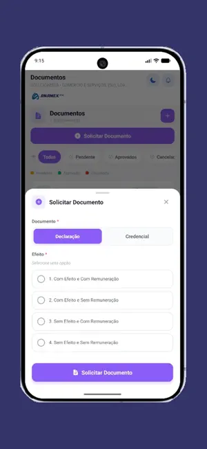 ANAMEX_RH screenshot 3