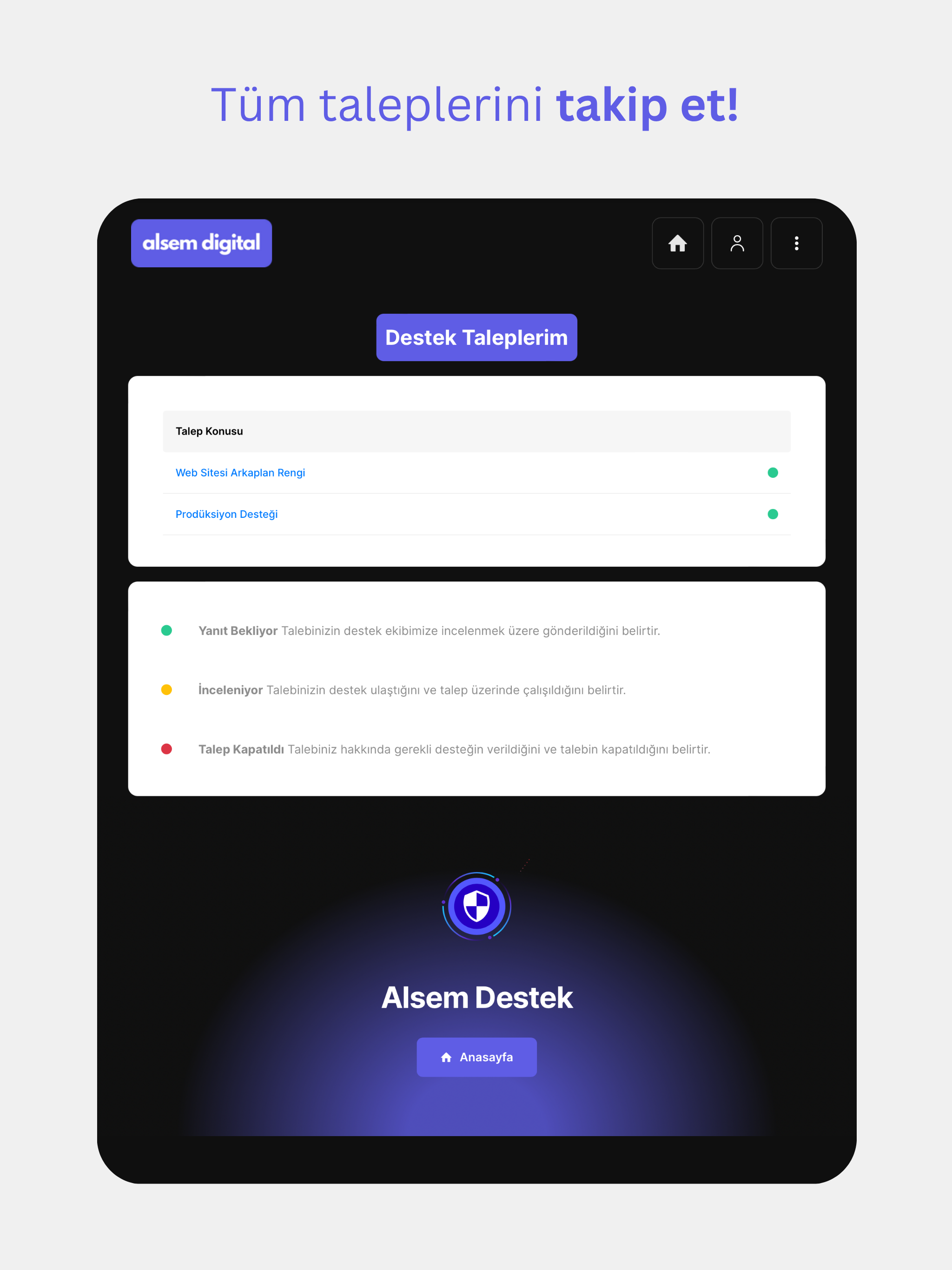 Alsem Digital screenshot 9