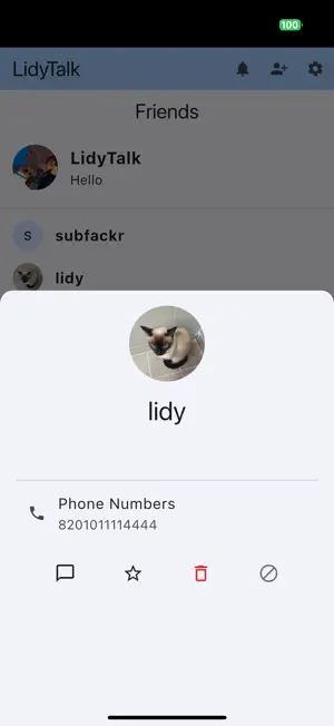 LidyTalk screenshot 1