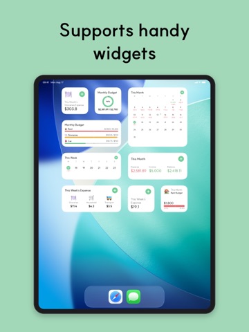 Green Ledger: Expense & Budget iPad screenshot