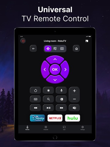 Universal Remote TV Controllerのおすすめ画像2