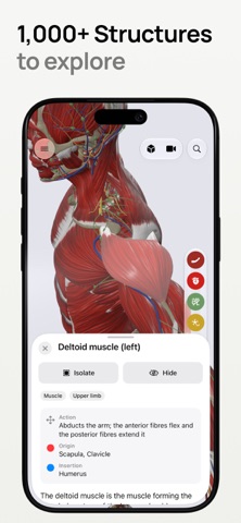 Anatomia 3D - Atlas do Corpo screenshot 2