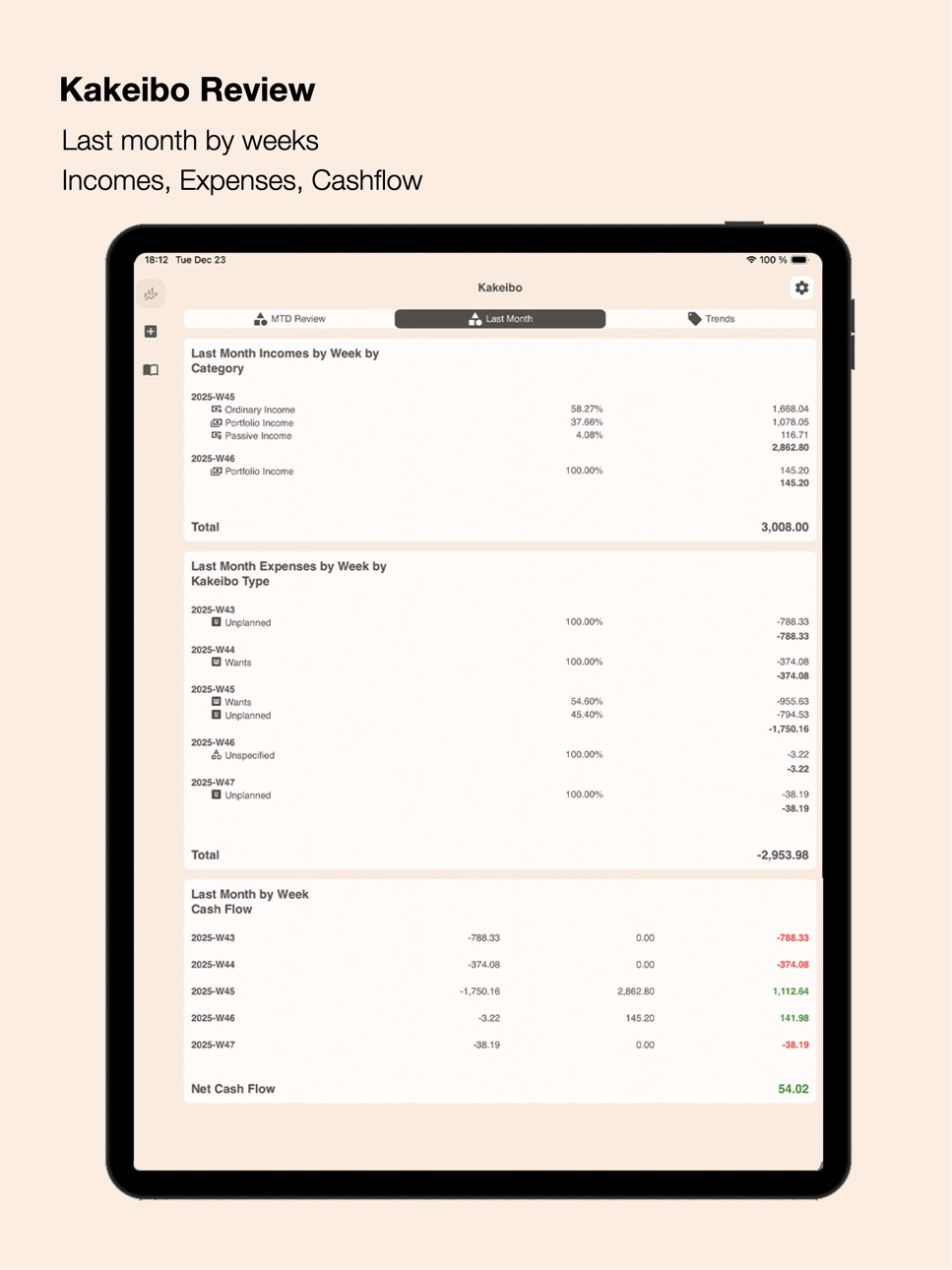 iPad screenshot