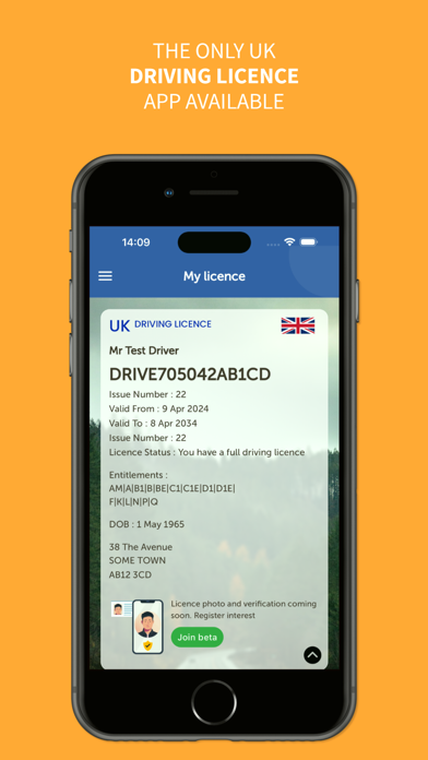 Screenshot #1 pour Driver Codes - driving licence