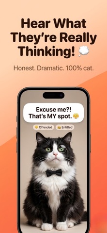CommuniCat - Cat Translation screenshot